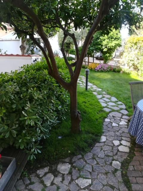 Candida's House *
